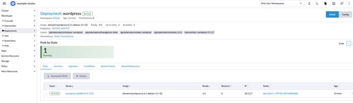 Rancher app detail view - NodeBalancer HTTP endpoint highlighted Rancher app detail view - NodeBalancer HTTP endpoint highlighted