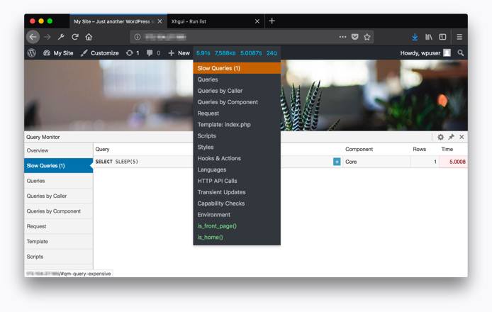 Query Monitor Query Monitor