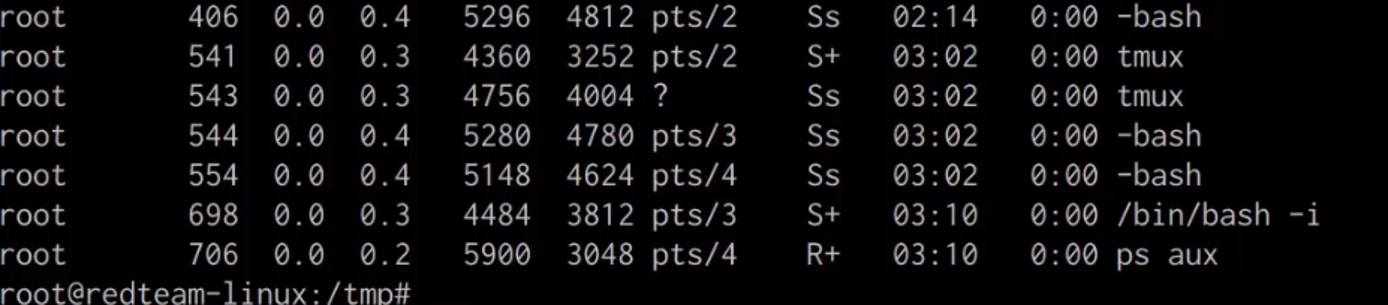ps aux output with shell.py hidden ps aux output with shell.py hidden