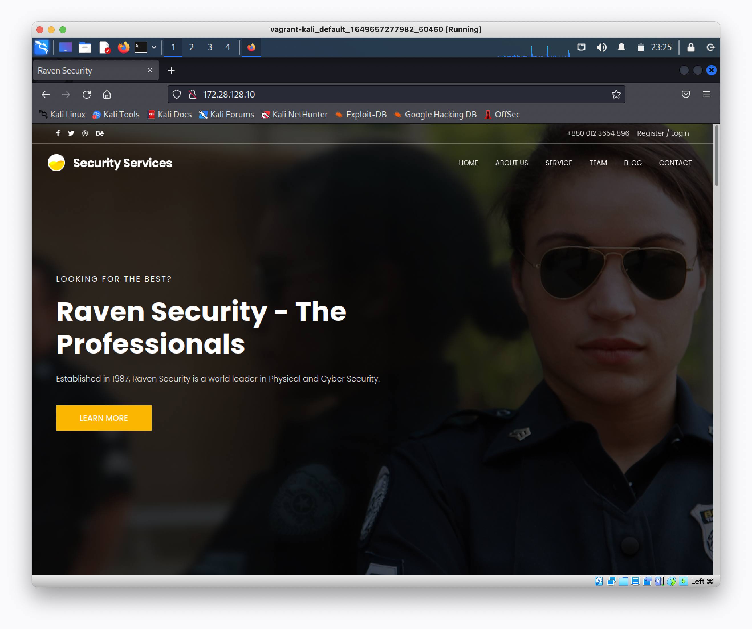 Raven web server browser screenshot Raven web server browser screenshot