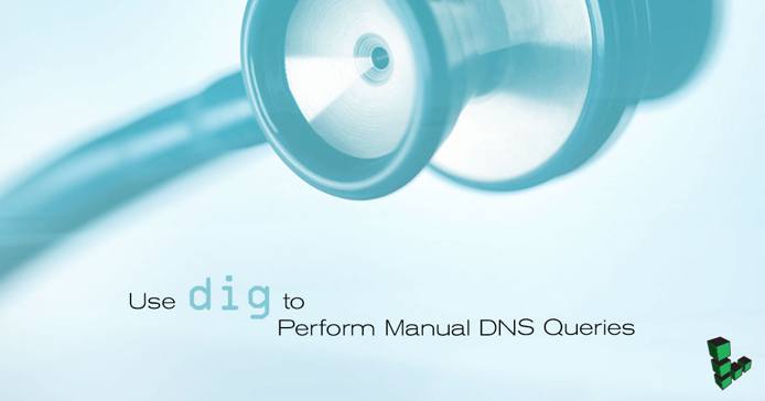 Use dig to Perform Manual DNS Queries Use dig to Perform Manual DNS Queries