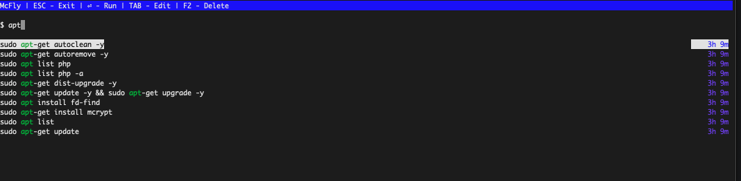Example McFly interface displaying file list Example McFly interface displaying file list